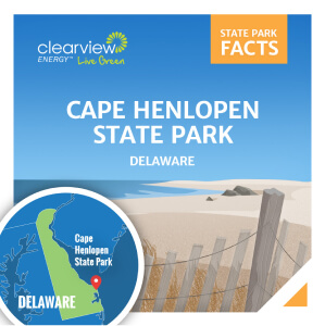 Clearview Energy - Cape Henlopen State Park